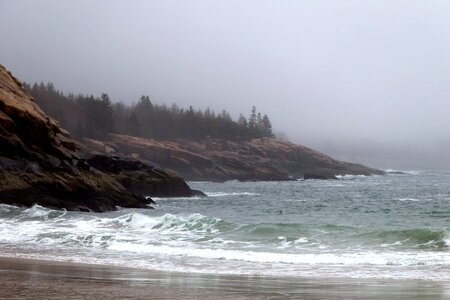 Beach fog landscape