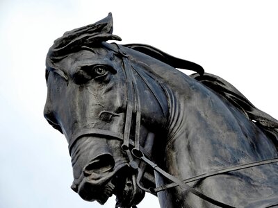 Bronze statue horse photo