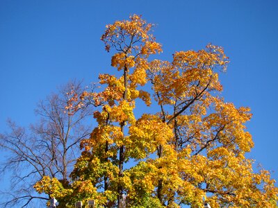 Blue sky clean freshness