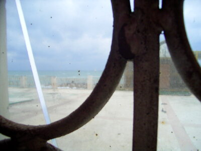 Through the dated window photo