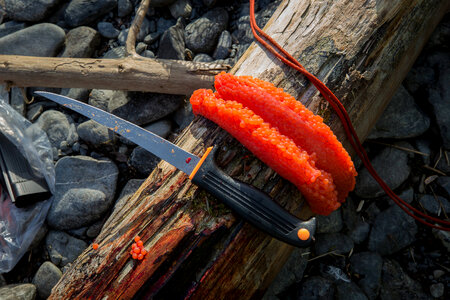  Silver salmon roe