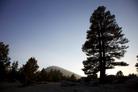 Dusk in the Sierra's