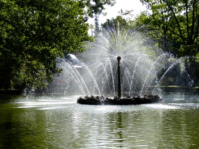 Tourism historically peterhof photo