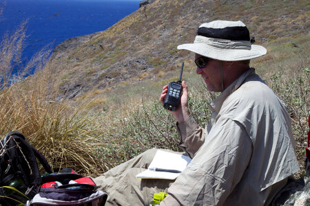 Nihoa Millerbird Translocation-7