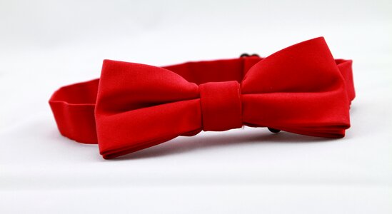 Red bow tie bow photo
