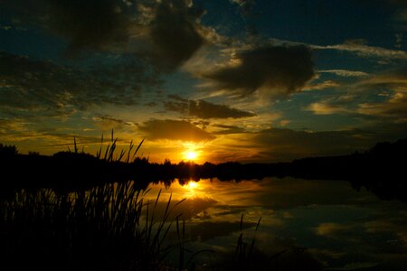 Nature water silence