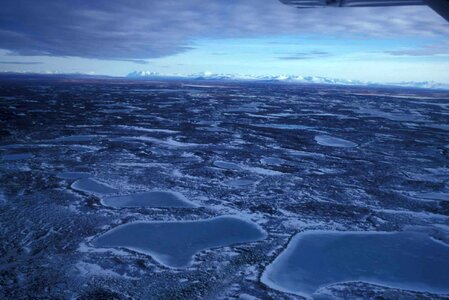 Frozen sight wetland