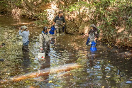 FWS mussel biologists from Orangeburg National Fish Hatchery