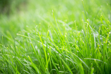 Night the scenery environment