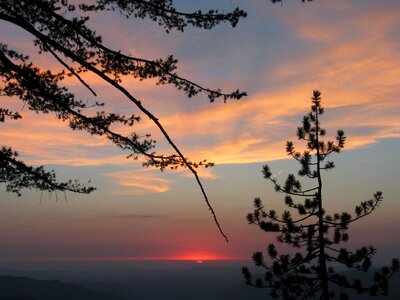 Clouds pine sunset