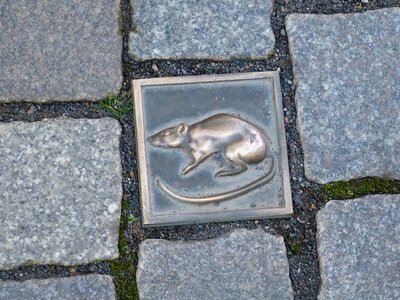 Rat mouse trap road
