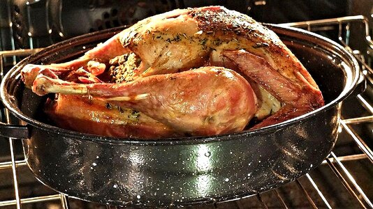Thanksgiving food meat