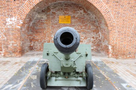 Cannon trunk muzzle