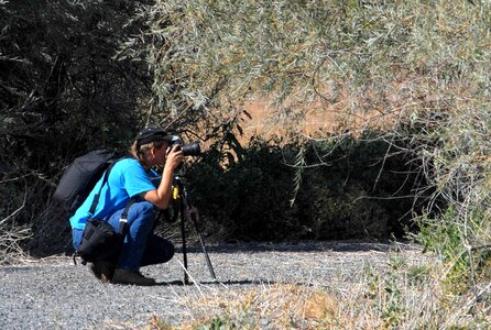 Fauna photographer 
