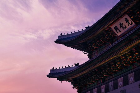 Roof asian exterior