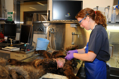 Ashland Forensics Lab-1