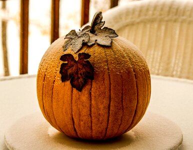 Artificial fruit winter autumn