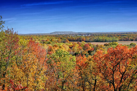 Forest landscape in the Autumn in Arkansas photo