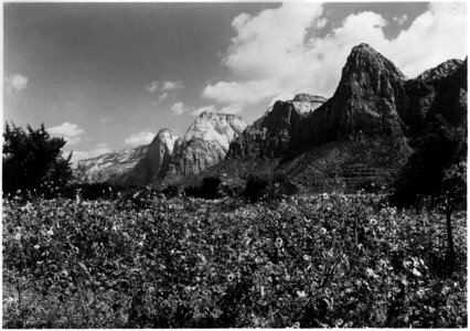 East side of Zion Canyon in 1929 in Utah photo