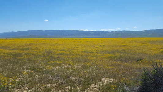 Carrizo Plain National Monument in California Landscape photo