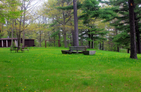 Bench with grassy field at Council Grounds State Park, Wisconsin