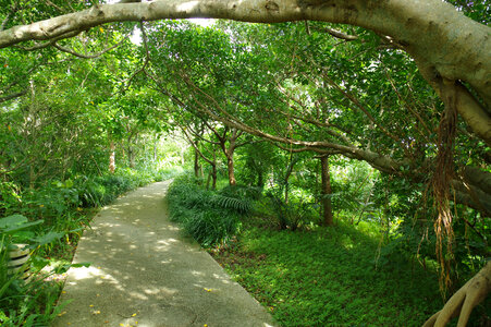 4 Okinawa