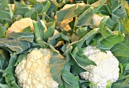 Agriculture calorie cauliflower photo