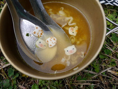 Soup noodles with kitty and pig faces photo