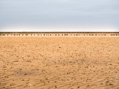 Ebb beach water photo