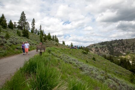 Mount Washburn Trail, Yellowstone National Park