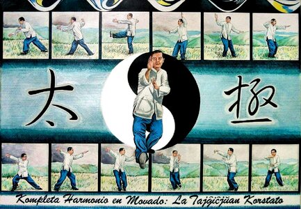 Karate man practicing in front of Yin-Yang photo