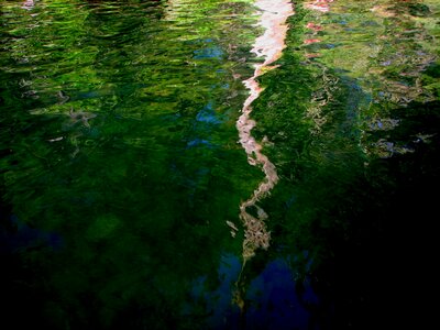 Aquatic reflection 