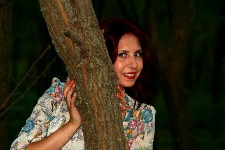 Tree in the evening model