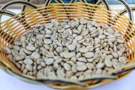 Beans inside a basket