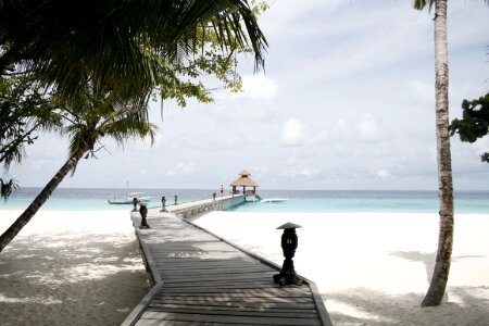 Beach tropics baa atoll photo