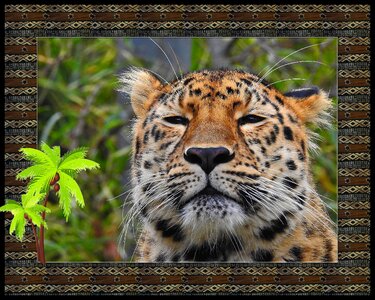 Animal art decoration photo