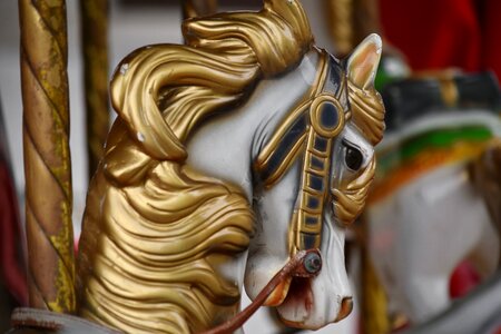 Antiquity carousel colorful photo