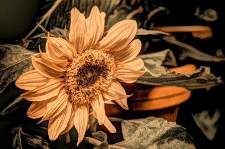 Fine Arts oil painting flower
