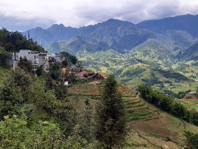 Mu Cang Chai, terraced rice field landscape photo