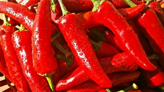 Basket of long red chillies photo