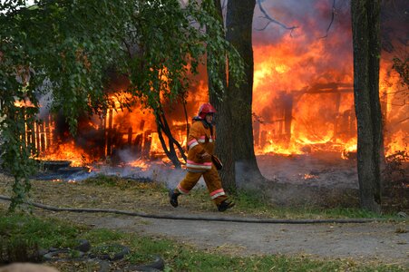 Trees burn stew