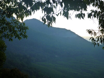 Beautiful Hills
