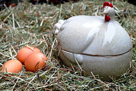 Ceramic chicken decoration