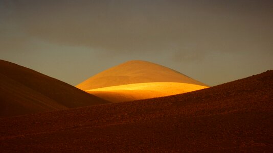 Sunlight golden dessert photo