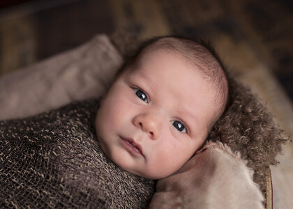 Cute Newborn Baby Wrapped in Brown Knitted Blanket photo