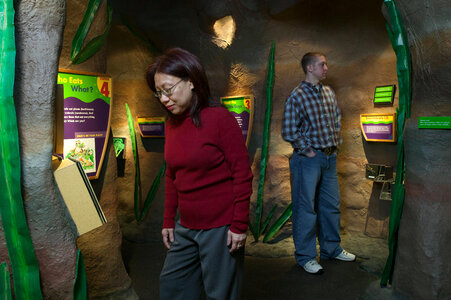 Visitors at the Who Eats What and Meet the Little Guys exhibits