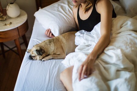 A woman getting up in the morning and her dog photo