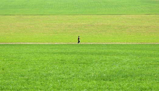 Meadow green grass photo