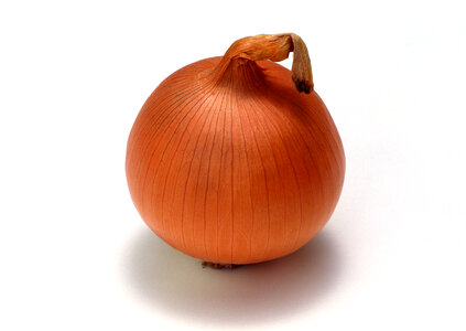 Ripe onion on a white background photo