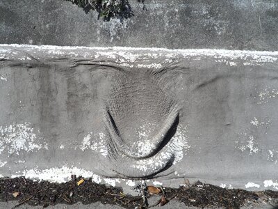 Texture concrete textured photo